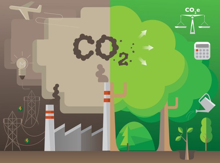 Infographic,Of,Carbon,Offset,Concept:,Planting,Of,Trees,To,Absorb